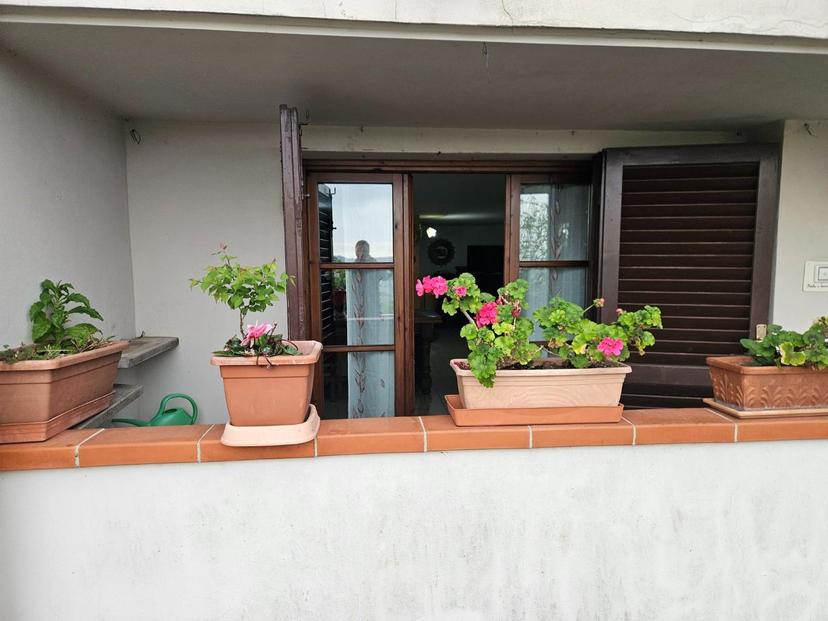 Quadrilocale, Rosignano Marittimo — foto 5 di 5