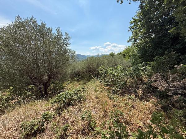 Masseria in Contrada Montagna, Archi — foto 3 di 5