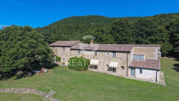 Casale, San Casciano dei Bagni — foto 3 di 5