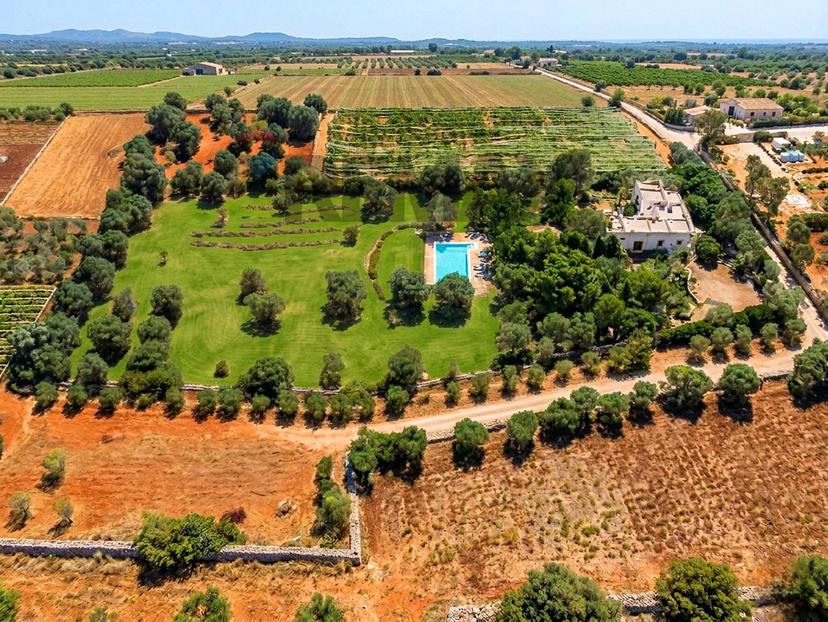 Villa in Strada Comunale Cristallina 14, Mola di Bari — foto 4 di 5