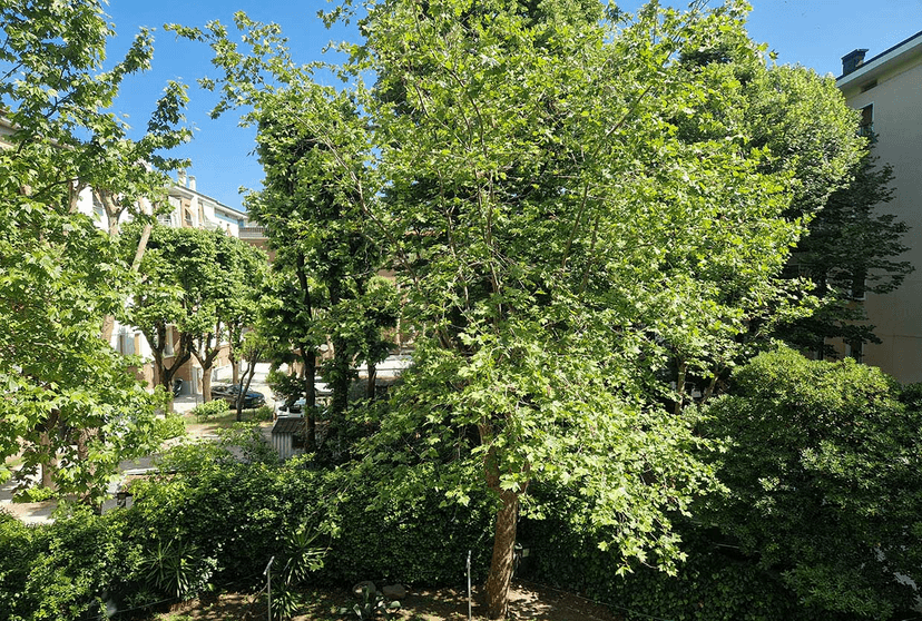 Appartamento, Pesaro — foto 5 di 5