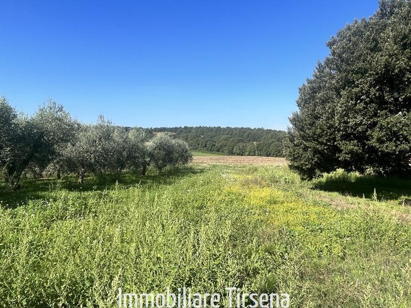 Casale, Orvieto — foto 5 di 5