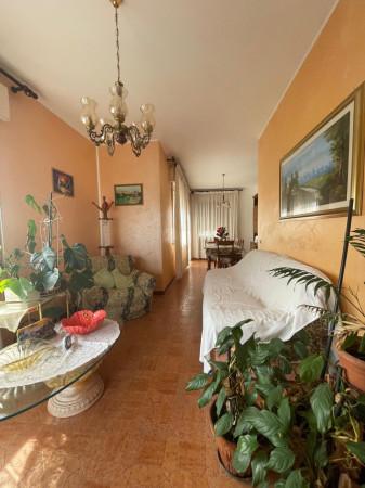 Terratetto unifamiliare in Via Claudiana, Montegrotto Terme — foto 4 di 5