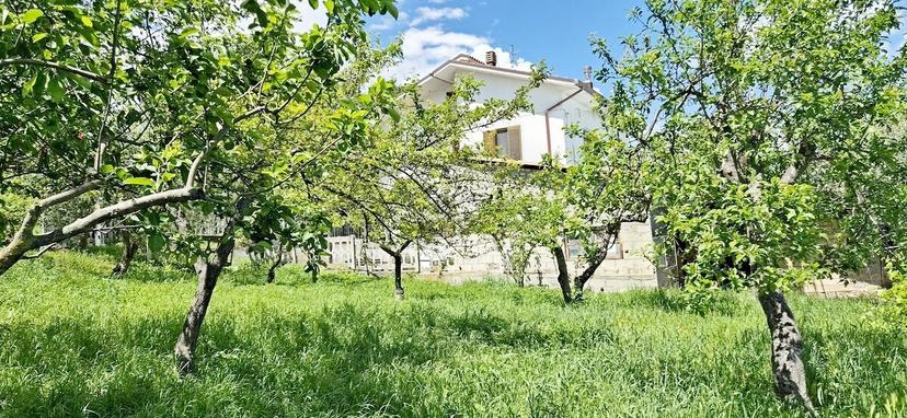 Rustico, Montebello di Bertona