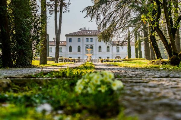 Villa, Conegliano — foto 4 di 5
