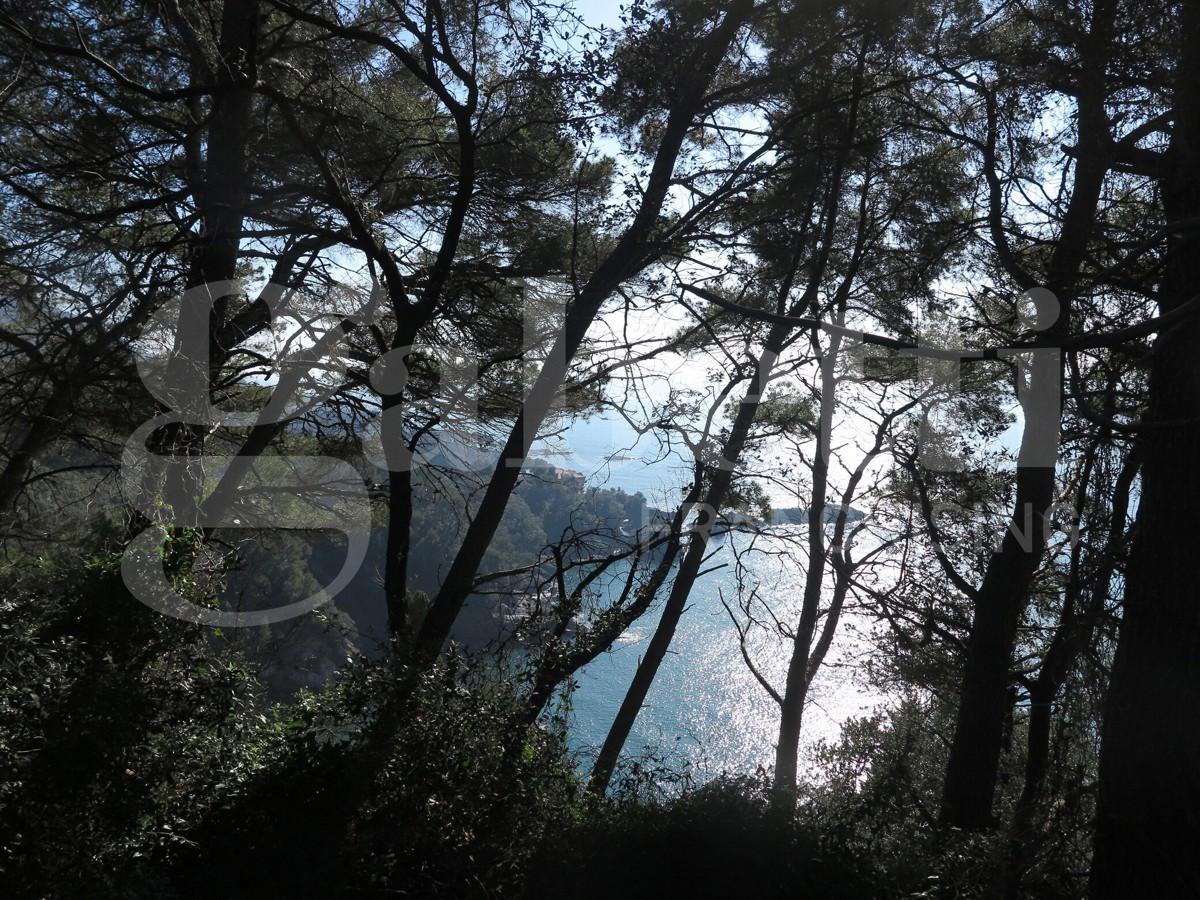 Rustico in Località Zanego 1, Lerici