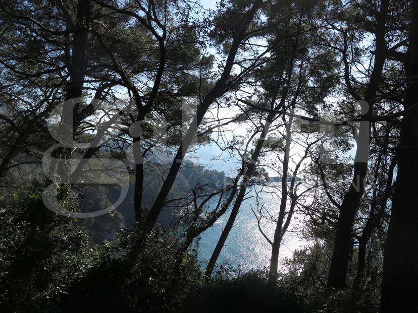 Rustico in Località Zanego 1, Lerici