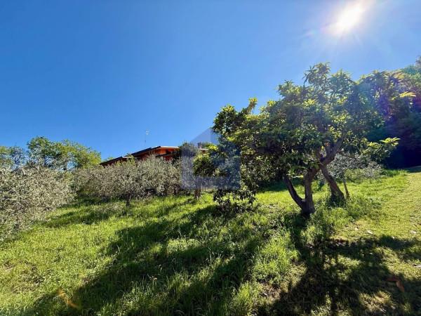 Villa, San Vito Chietino — foto 3 di 5