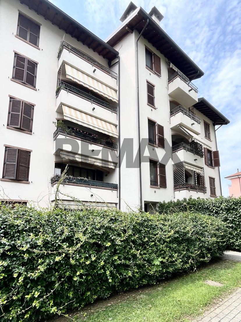 Trilocale, Legnano — foto 3 di 5