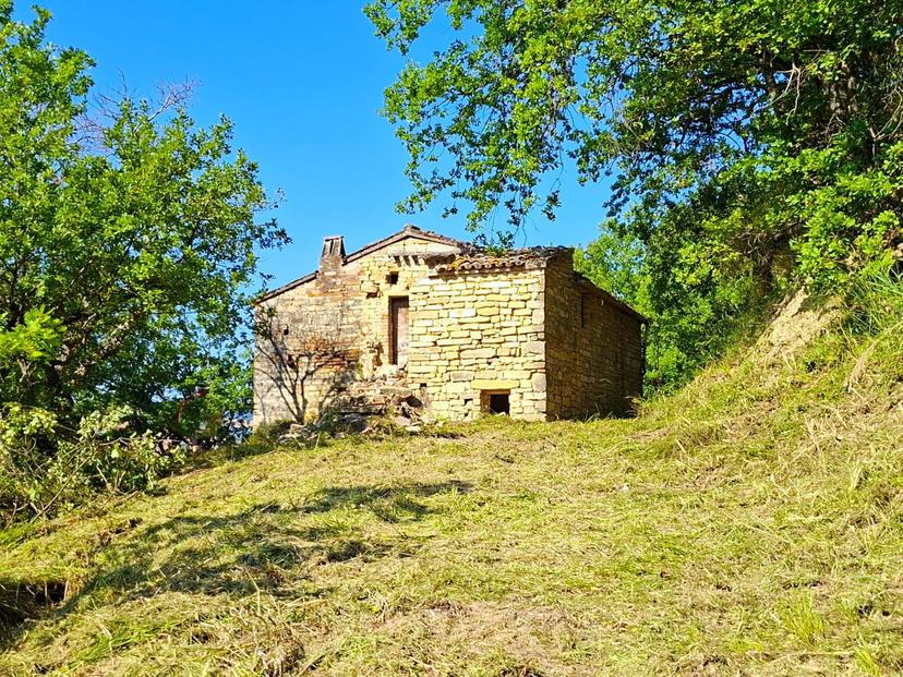Rustico in Strada Pronviciale 103 Snc, Montelparo — foto 3 di 5