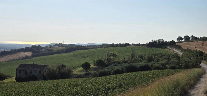 Rustico in Via Monte Bugaro, San Costanzo — foto 2 di 5