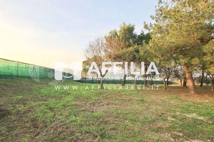 Casa indipendente in Via Maccarata, Santa Maria Nuova — foto 3 di 5
