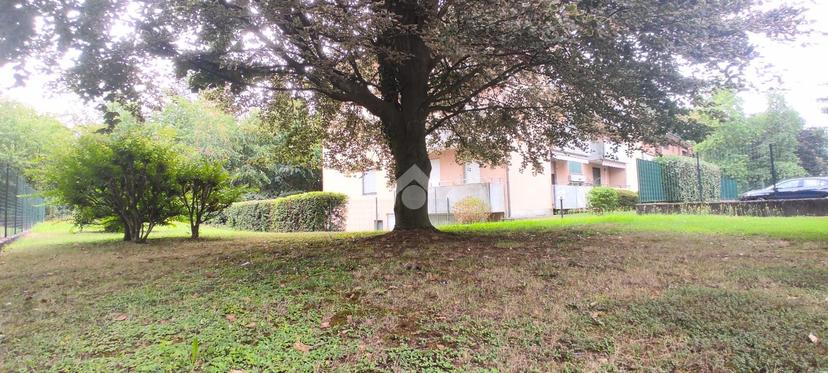 Trilocale in Via Padre Luigi Rosa 42, Lonate Pozzolo