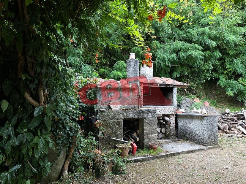 Terratetto, Fauglia — foto 3 di 5