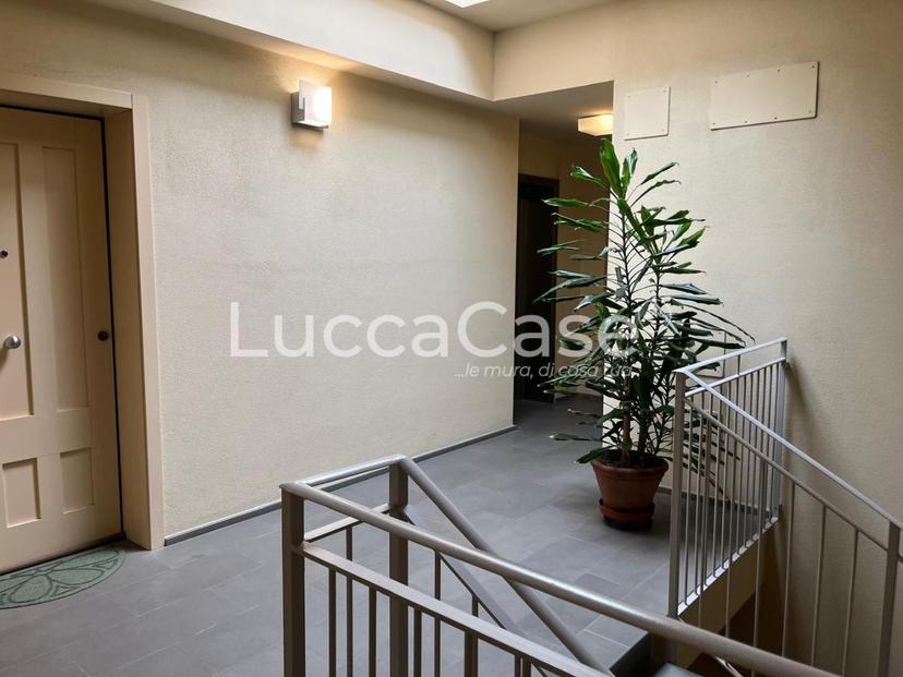 Bilocale, Lucca