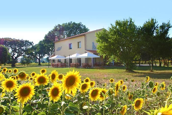 Rustico, Roccastrada