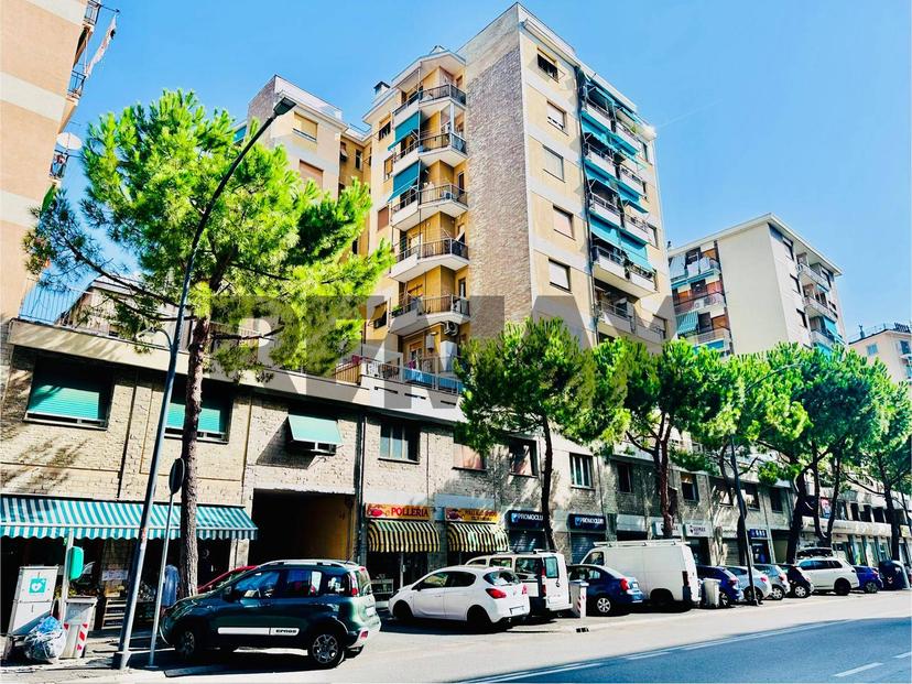 Trilocale, Savona