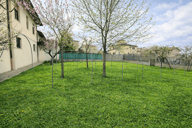 Casa indipendente in Località Staggiano, Arezzo