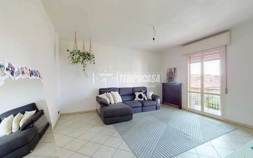 Trilocale, Carpi