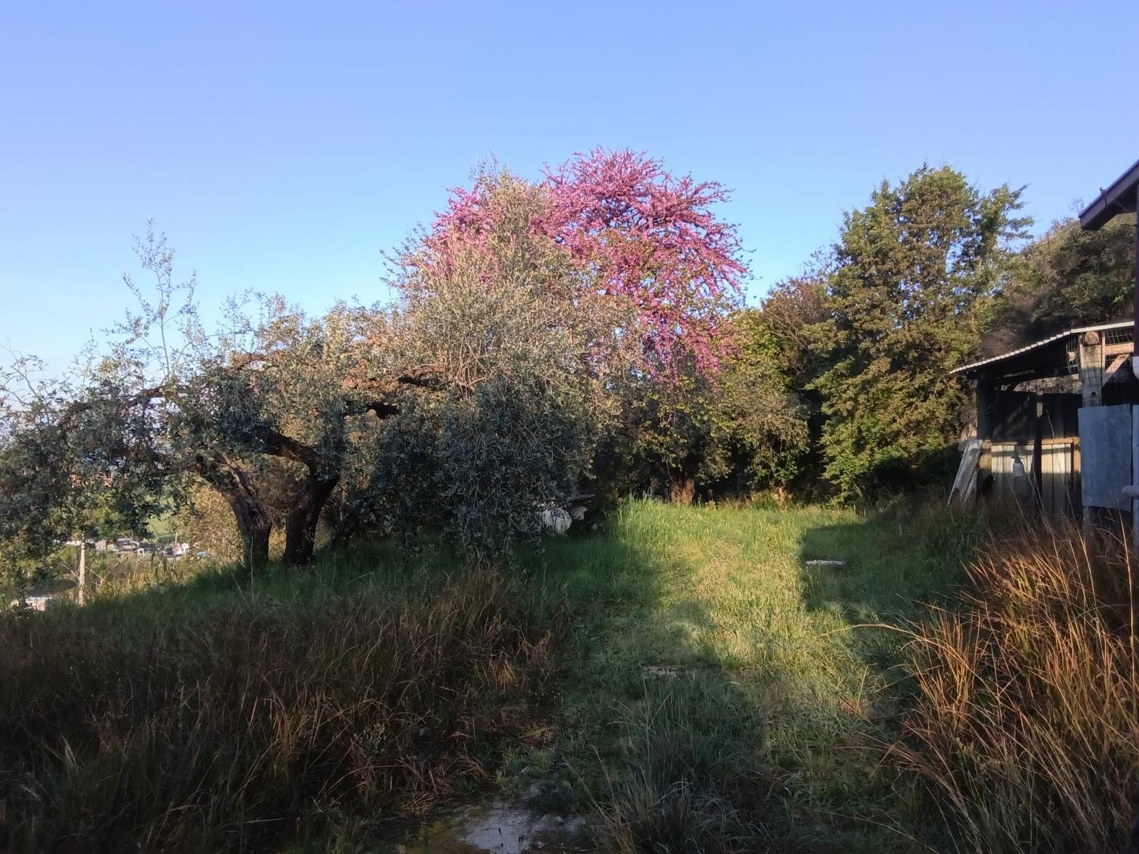 Rustico in Via dei Caolini 334, Marcellina