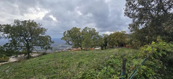 Villa in Via Giovanni XXIII, Palestrina — foto 3 di 5