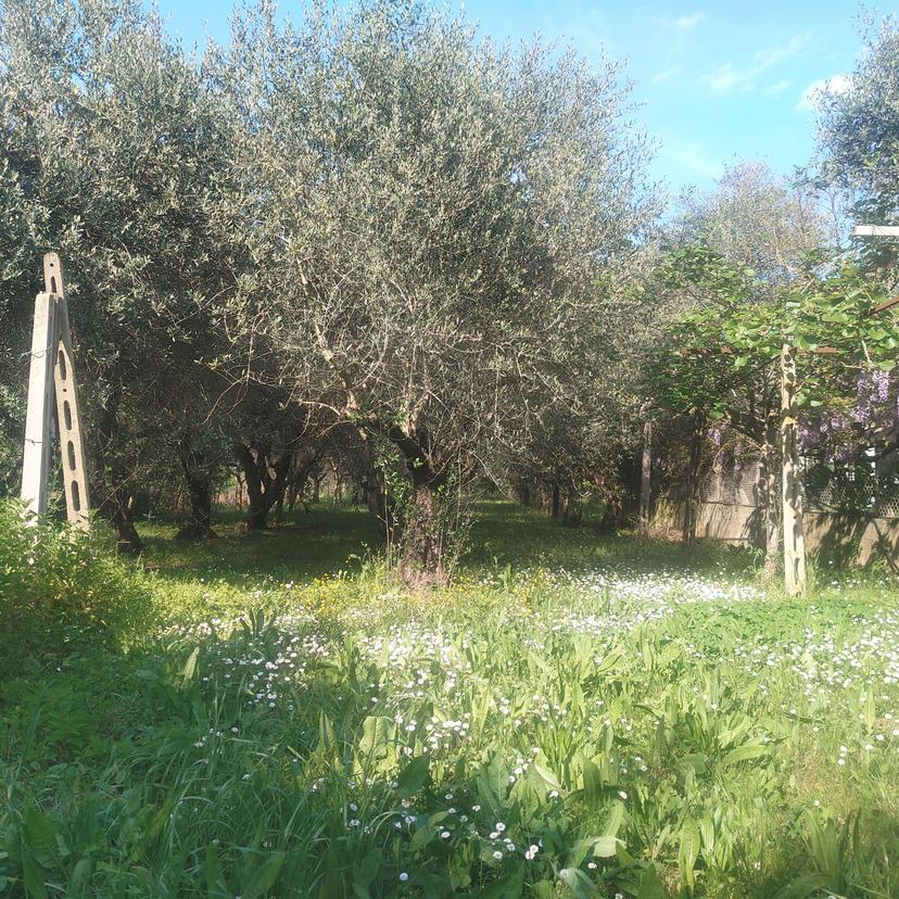 Casa indipendente in Via Piva, San Giovanni in Marignano — foto 2 di 5