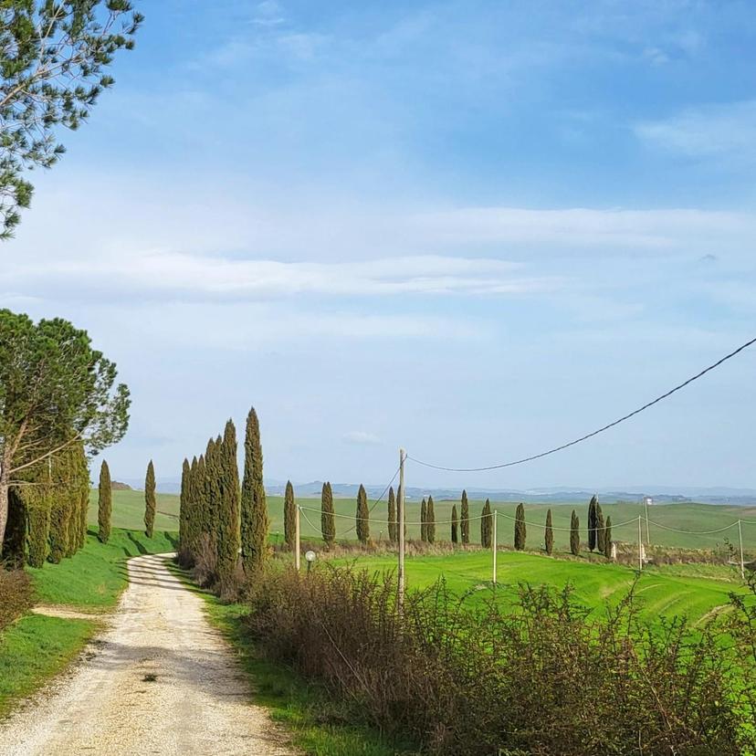 Terratetto, Monteroni d'Arbia — foto 5 di 5