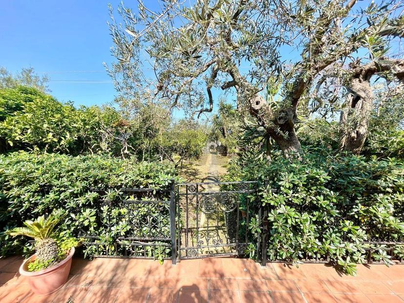 Villa in Contrada Scaletta Snc, Cinisi — foto 4 di 5