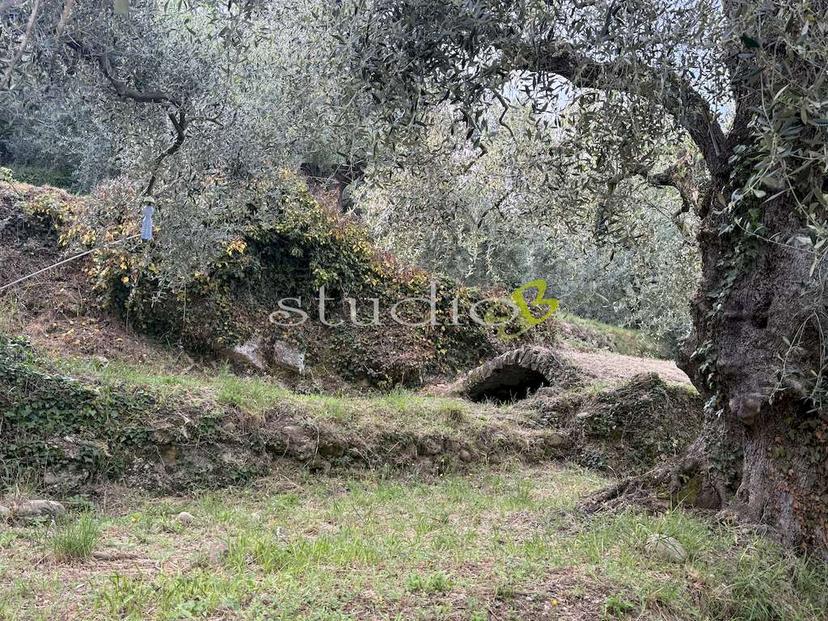 Rustico, San Biagio della Cima — foto 5 di 5