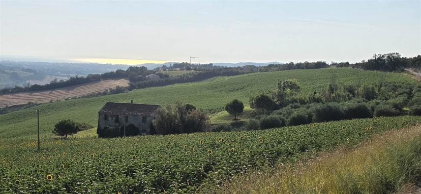 Rustico in Via Monte Bugaro, San Costanzo — foto 4 di 5
