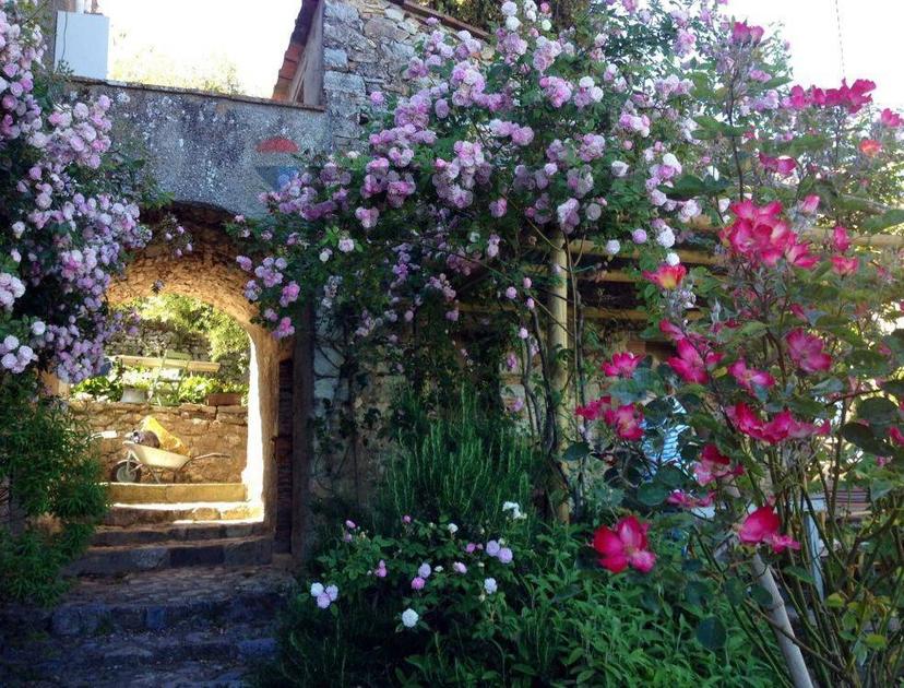 Casa indipendente in Via di Fibbiano 91, Camaiore — foto 4 di 5