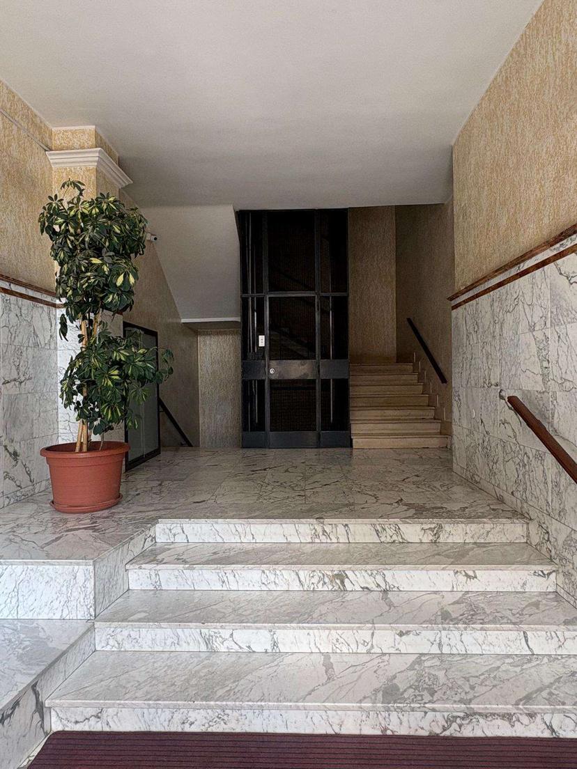 Quadrilocale, Canosa di Puglia — foto 4 di 5