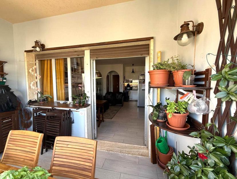 Quadrilocale, Rosignano Marittimo — foto 4 di 5