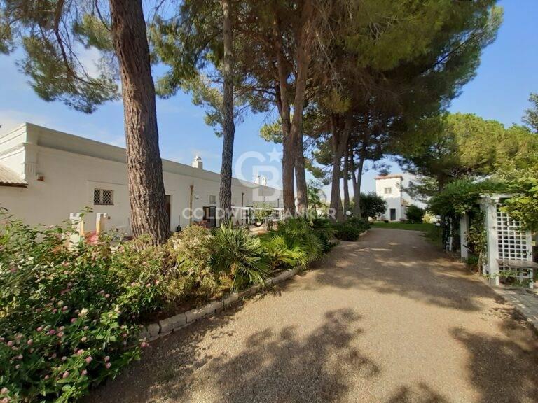 Rustico in Contrada Stornara Sn, Ginosa — foto 3 di 5