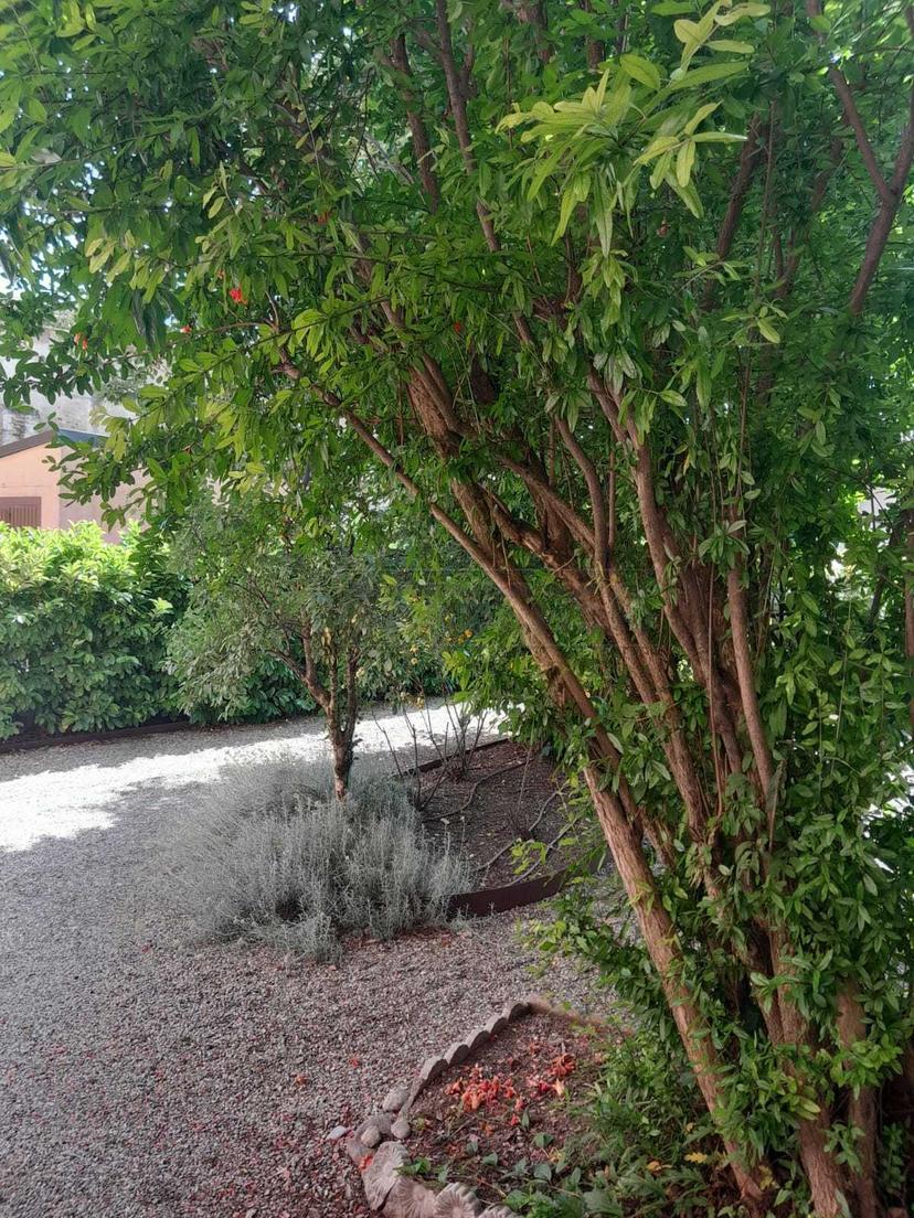 Villa bifamiliare in Via Roma, Pianengo — foto 3 di 5