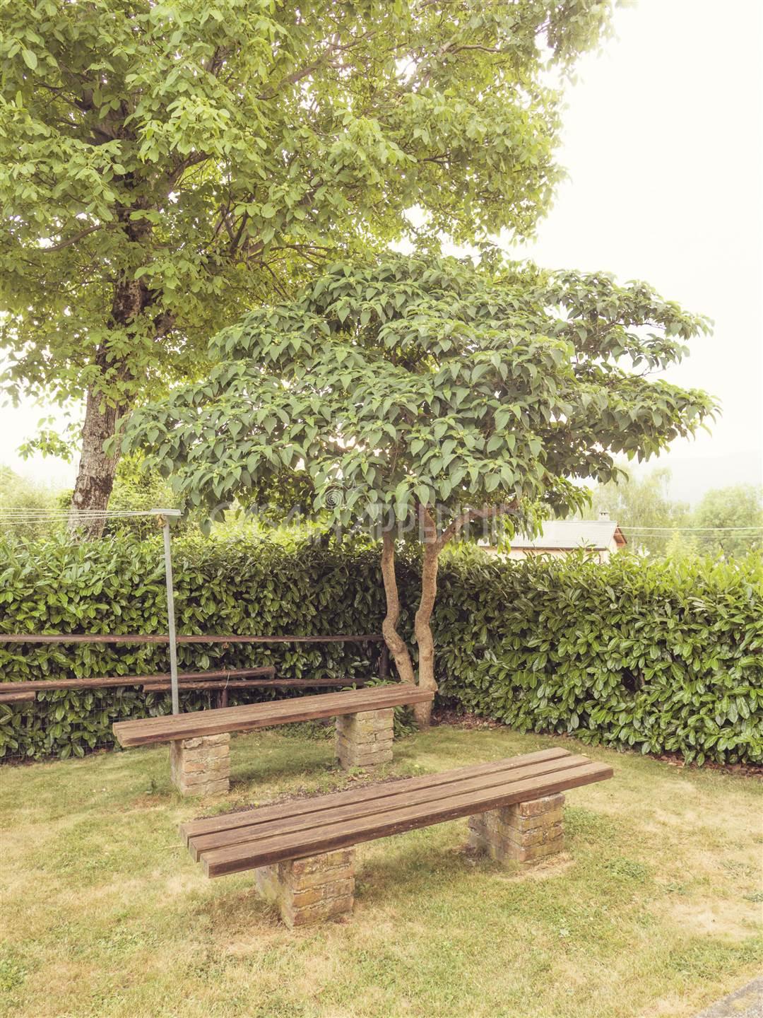 Quadrilocale, Frassinoro