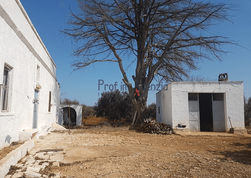 Casale, Ceglie Messapica