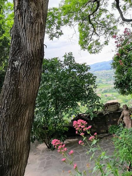 Casa indipendente, Orvieto — foto 3 di 5