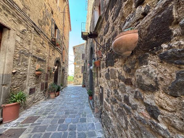 Bilocale in Via San Salvatore, Bolsena — foto 4 di 5