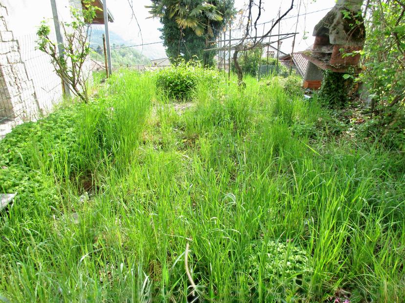 Porzione di casa in Via Papa Giovanni XXII 108, Berbenno — foto 3 di 5