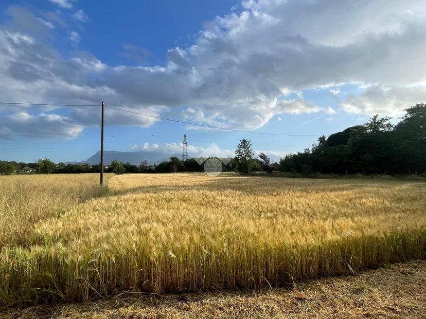 Rustico in Via Casilina Nord 52, Piedimonte San Germano — foto 5 di 5