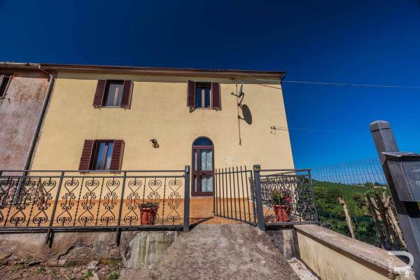 Villa a schiera in Strada Provinciale Scansanese, Scansano — foto 5 di 5