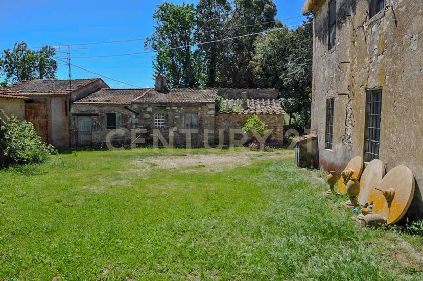 Rustico in Località Preselle Sp 159 , Scansano — foto 5 di 5