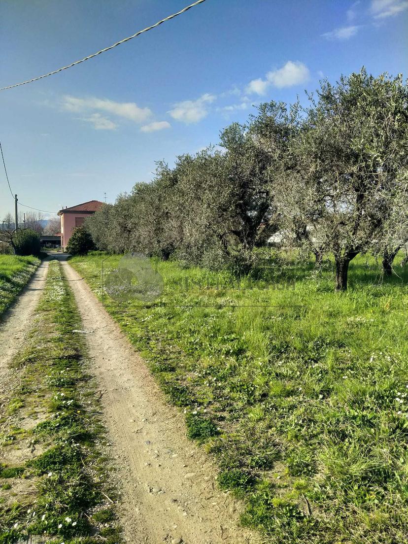 Casa indipendente in Via Ghiarettolo 138, Sarzana — foto 2 di 5