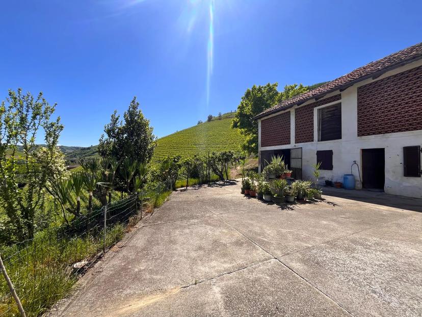 Cascina in Neive, Neive — foto 2 di 5