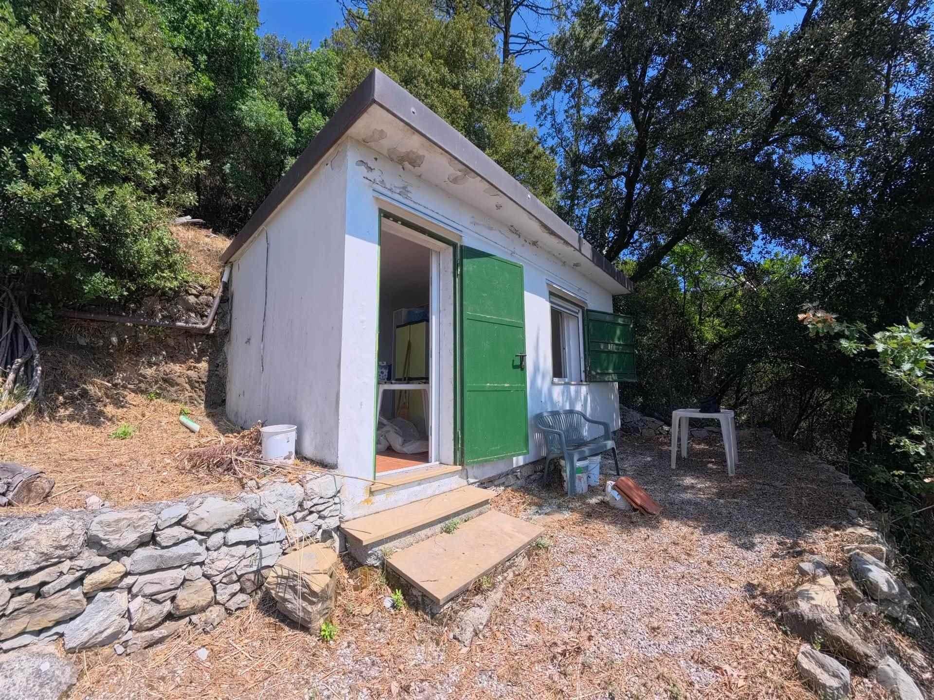 Rustico, Monterosso al Mare