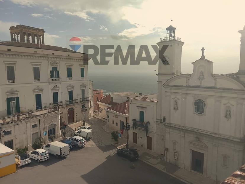 Casa indipendente in Piazza Giovanni Bovio 31, Minervino Murge — foto 4 di 5