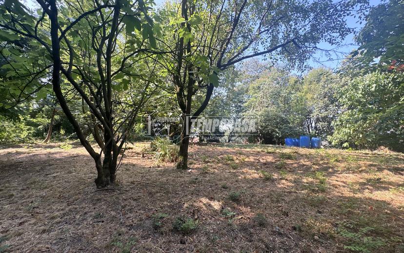 Casa indipendente in Frazione Mombello, Valle San Nicolao — foto 2 di 5