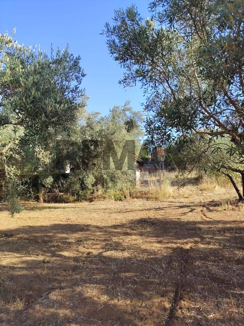 Villa in Contrada Camemi Snc, Piazza Armerina — foto 5 di 5
