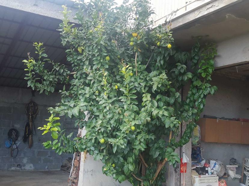 Casa indipendente, Montebello di Bertona — foto 2 di 5